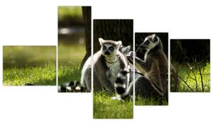 Obraz lemurov (Obraz 150x85cm)