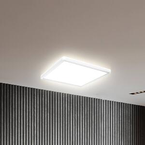 LED panel Eki, 29 x cm, biely, stmievateľné, podsvietenie, 4 000 K, Biela / opálová, Pracovňa / Kancelária, Plast, Stropné svetlo