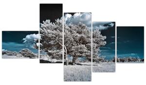 Strom v zime, obraz na stenu (Obraz 150x85cm)