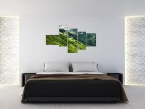 Pohorie hôr - obraz na stenu (Obraz 150x85cm)