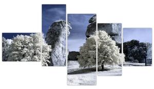 Zimná krajina - obraz do bytu (Obraz 150x85cm)