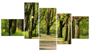 Cesta v parku - obraz (Obraz 150x85cm)