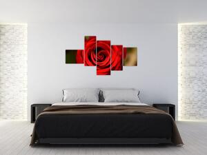Detail ruže - obraz (Obraz 150x85cm)
