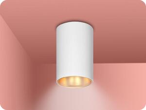 ORNO Prisadené stropné LED svietidlo ELIZA GU10, bielo-zlaté [AD-OD-6521/W-C]