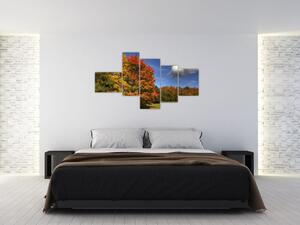 Jesenné stromy - obraz (Obraz 150x85cm)