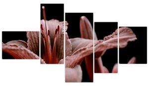 Detail kvety - obraz (Obraz 150x85cm)