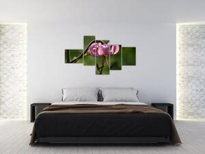 Obraz kvety (Obraz 150x85cm)