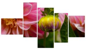 Obraz kvetu rastliny (Obraz 150x85cm)