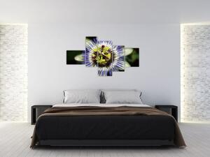 Obrazy kvetov (Obraz 150x85cm)