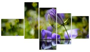 Modrá kvetina - obraz (Obraz 150x85cm)