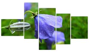 Obrazy kvetiny (Obraz 150x85cm)