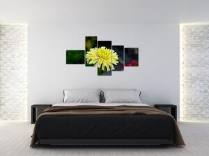 Obrazy kvetiny (Obraz 150x85cm)