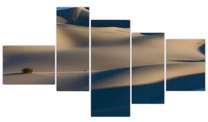 Púšť - obraz (Obraz 150x85cm)
