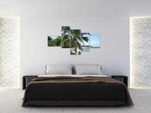 Palma - obraz (Obraz 150x85cm)