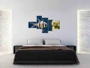 Ryba - obraz (Obraz 150x85cm)