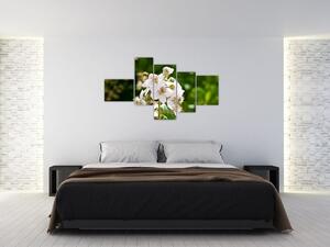 Kvetina - obraz (Obraz 150x85cm)