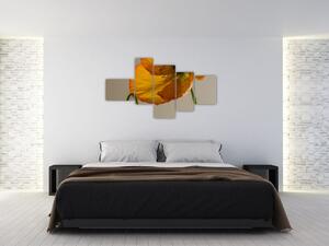 Žltý kvet - obraz (Obraz 150x85cm)