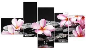 Kvety - obraz (Obraz 150x85cm)