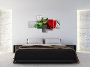 Ruža červená - obraz (Obraz 150x85cm)