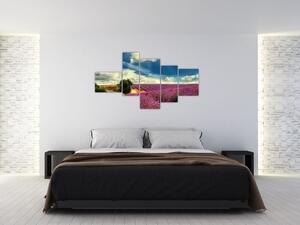 Levanduľové polia - obraz (Obraz 150x85cm)