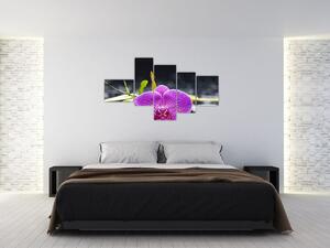 Kvet orchidey - obraz (Obraz 150x85cm)