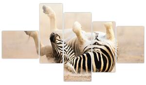 Obraz zebry (Obraz 150x85cm)
