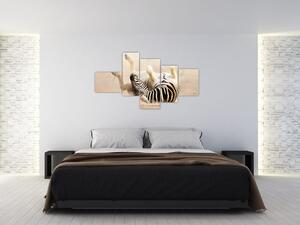 Obraz zebry (Obraz 150x85cm)