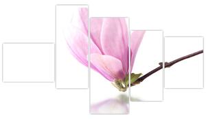 Kvet - obraz (Obraz 150x85cm)