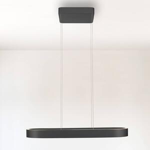 Paul Neuhaus LED závesné svietidlo Q-Stretto, čierne, 86,8 cm, Čierna, Obývacia izba / jedáleň, kov, Moderný, Závesné svietidlo