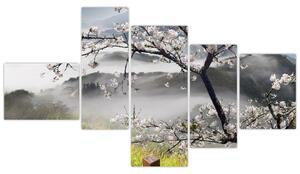 Sakura - obraz (Obraz 150x85cm)