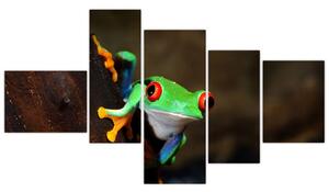 Žaba - obraz (Obraz 150x85cm)
