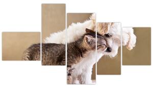 Mačiatko a šteňa - obraz (Obraz 150x85cm)