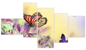 Motýle - obraz (Obraz 150x85cm)