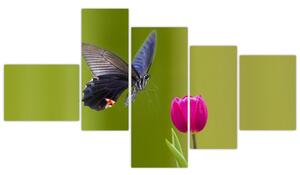 Motýľ - obraz (Obraz 150x85cm)