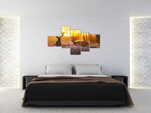 Jelene - obraz (Obraz 150x85cm)