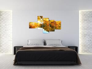 Jesenná krajina - obraz (Obraz 150x85cm)