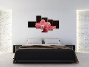 Ružová orchidea - obraz (Obraz 150x85cm)