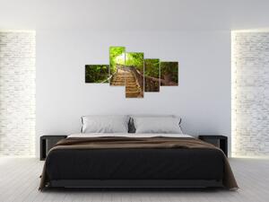 Schody v lese - obraz (Obraz 150x85cm)
