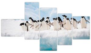 Tučniaci - obraz (Obraz 150x85cm)