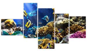 Podmorský svet - obraz (Obraz 150x85cm)