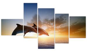 Delfíny - obraz (Obraz 150x85cm)