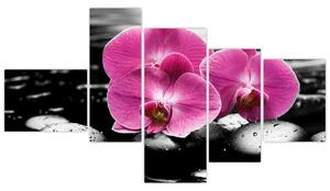 Obraz orchideí (Obraz 150x85cm)