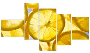 Plátky citrónov - obraz (Obraz 150x85cm)