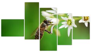 Fotka včely - obraz (Obraz 150x85cm)