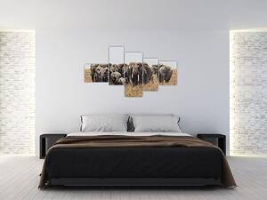 Stádo slonov - obraz (Obraz 150x85cm)