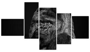 Obraz opice (Obraz 150x85cm)