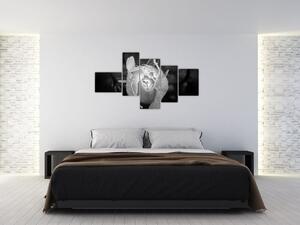 Obraz čiernobiele ruže (Obraz 150x85cm)