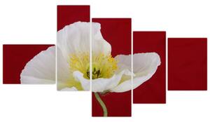 Obraz kvetu (Obraz 150x85cm)
