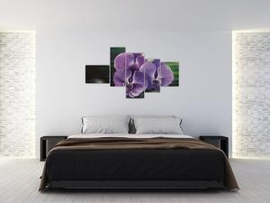 Obraz kvetov orchidey (Obraz 150x85cm)