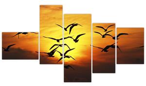 Obraz letiacich vtákov (Obraz 150x85cm)